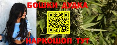 прущие грибы Пенза